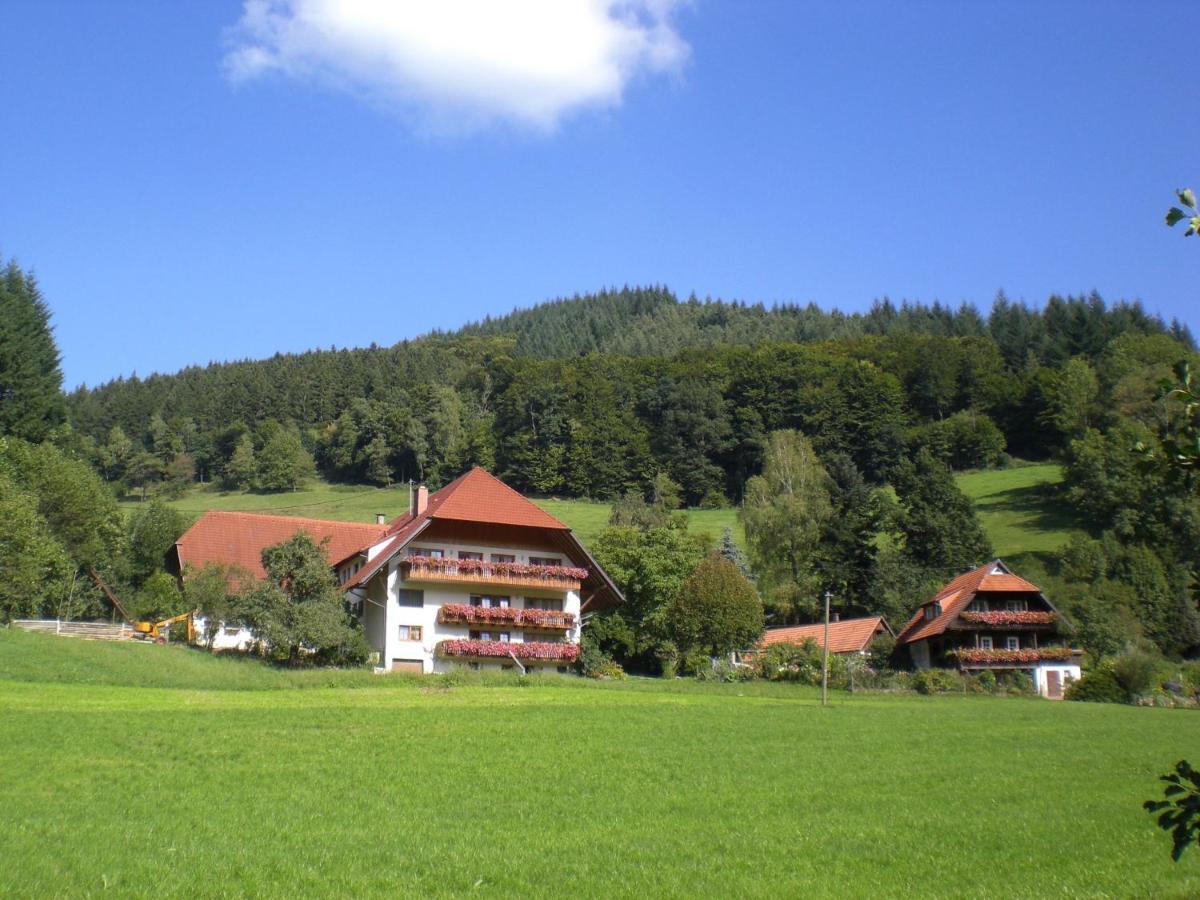 Appartamento Geigerbauernhof Mühlenbach Esterno foto
