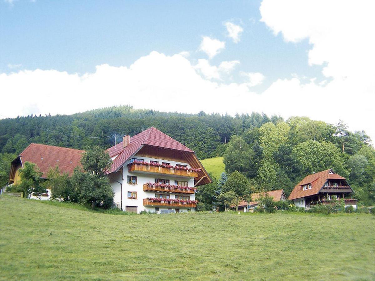Appartamento Geigerbauernhof Mühlenbach Esterno foto