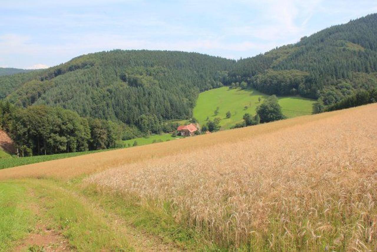 Appartamento Geigerbauernhof Mühlenbach Esterno foto